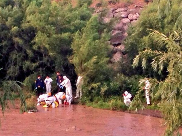 Imagen foto_00000017