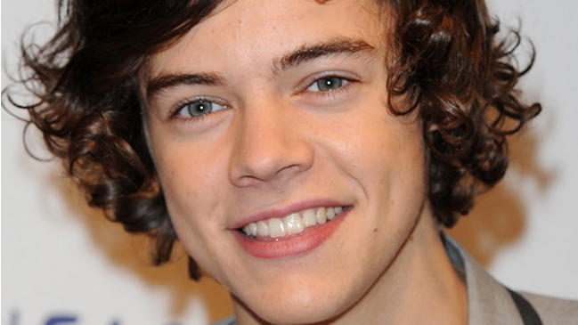 Justicia impide el acoso de los paparazzi al líder de One Direction