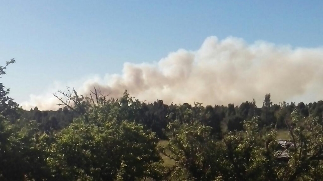 Onemi declaró alerta roja para Puerto Montt y Puerto Varas