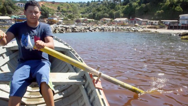 Seremi de Salud del Biobío constató presencia de marea roja en Tubul