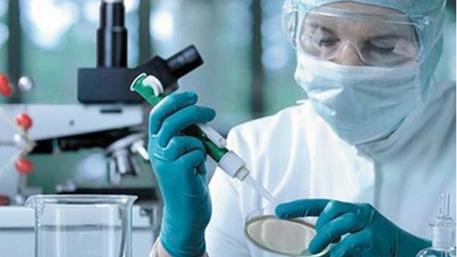 Conoce el avance científico del año: La inmunoterapia contra el cáncer