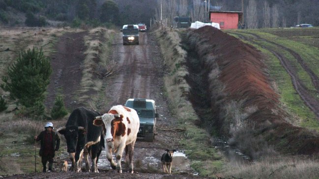 Tres carabineros resultaron heridos tras ataque con perdigones en Ercilla