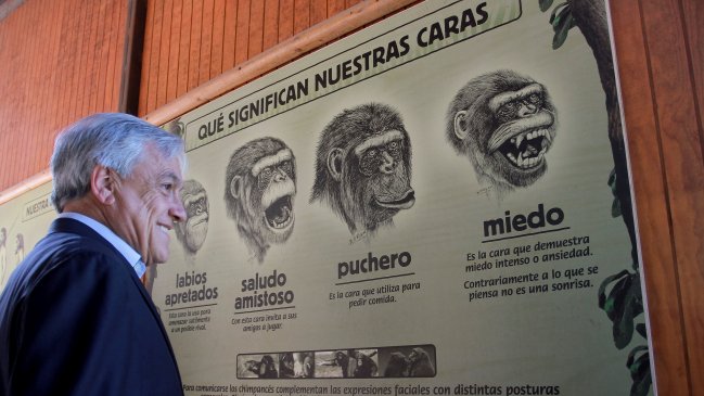  Piñera anunció modernización del Zoológico  