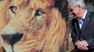 Presentan Plan Maestro para el Zoológico Nacional