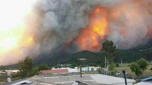 Incendio forestal ha destruido más de 1.600 hectáreas en Arauco