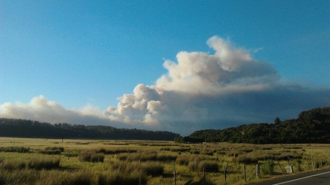 Cuatro bomberos heridos durante trabajos de contención de incendio forestal en Arauco