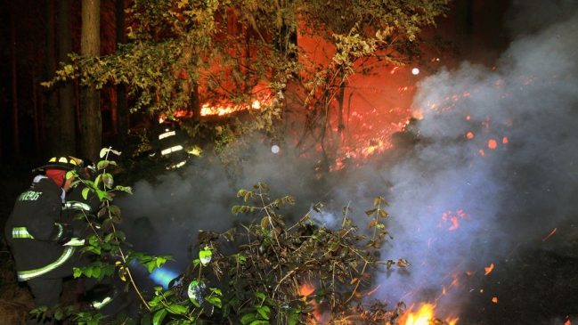 Alerta roja por incendios forestales en Puerto Montt y Puerto Varas