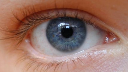  Minúscula retina biónica restablecerá la vista a los ciegos  