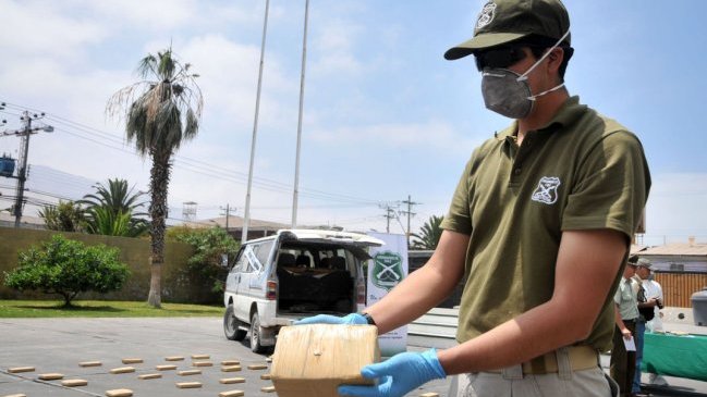 Carabineros decomisó 3.500 plantas de marihuana en Isla de Pascua