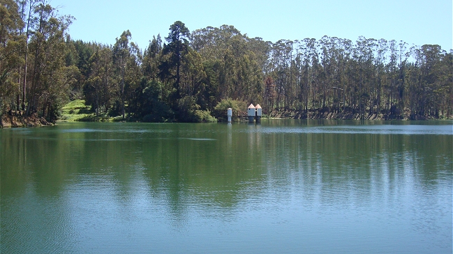 Equipos de rescate retomaron búsqueda de menor en tranque de Curauma