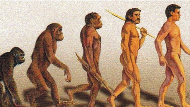 Un tercio de los estadounidenses no cree en la teoría de la evolución