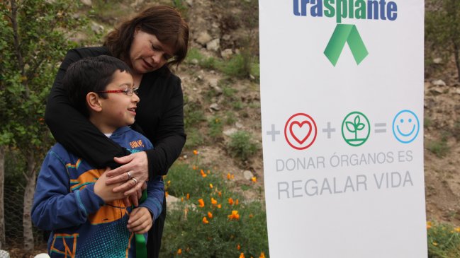 Donantes de órganos cayeron 30 por ciento entre 2012 y 2013