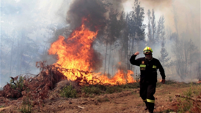 Bomberos y Conaf controlaron incendio forestal en Salamanca