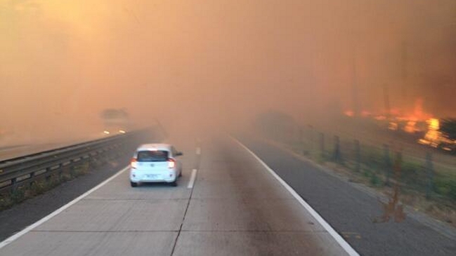 Incendio forestal se registra en la Autopista del Sol
