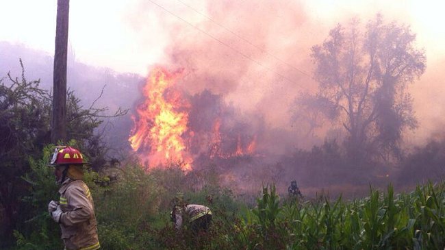 Continúa arduo trabajo para controlar incendio forestal en Melipilla
