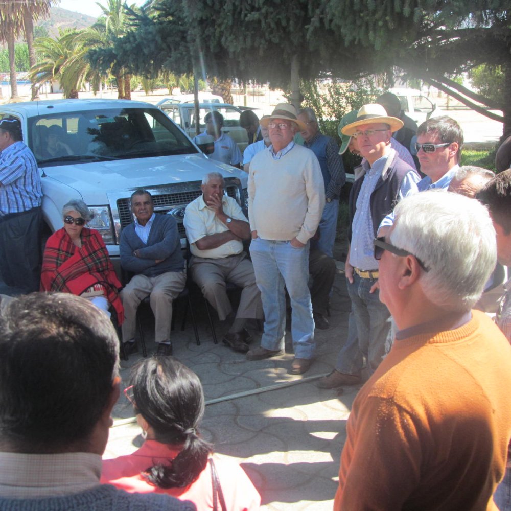 Regantes del Maule amenazan con tomas de caminos y corte de rutas