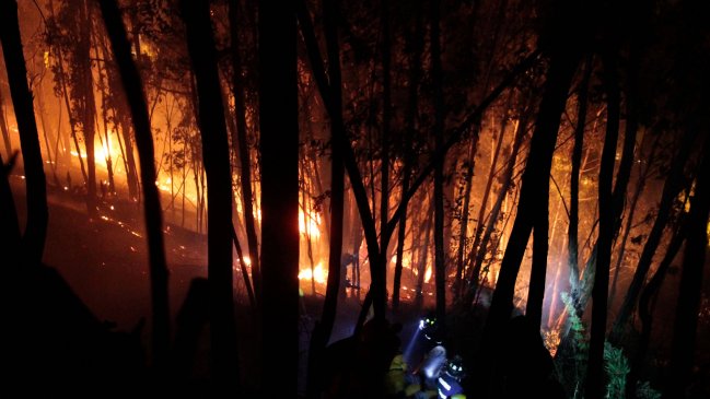 Werkén acusó intencionalidad y venganza en incendio de Temucuicui