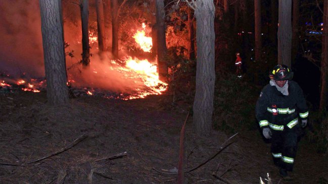 Incendios forestales ya han destruido 16 mil hectáreas