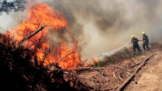 Conaf teme que vientos reactiven incendios