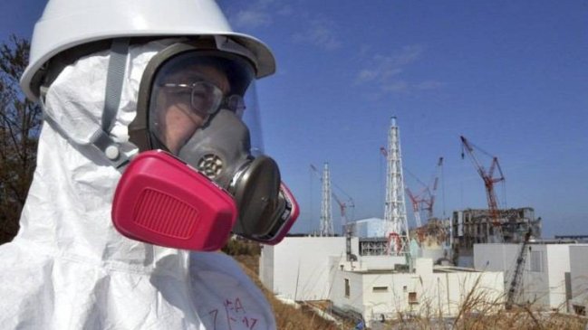 Japón: Detectan alto nivel de radiación en pez capturado cerca de Fukushima