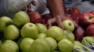 Exportación chilena de fruta aumentó en valor y en volumen durante 2013