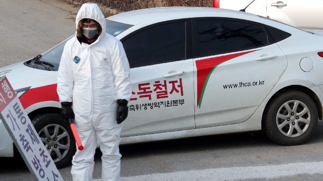 Corea del Sur confirmó un brote de gripe aviar altamente patógena