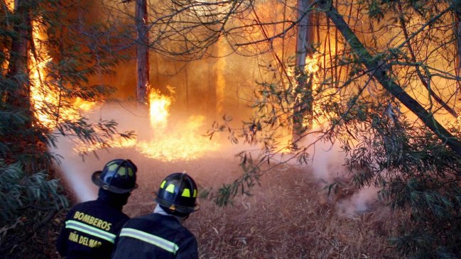 Moderno avión para combatir incendios forestales ya está en Chile