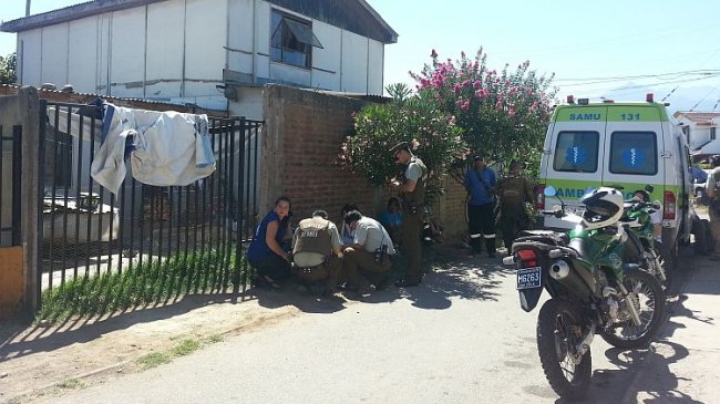 Niña de siete años murió tras ser atacada por un perro en Quillota