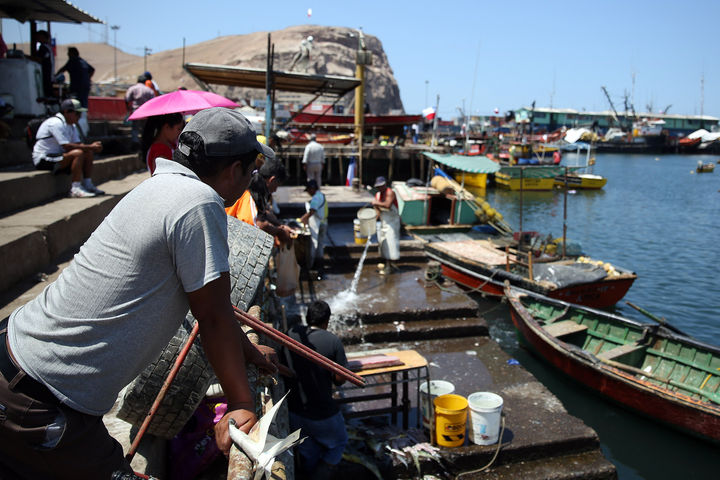 La Haya: Liturgia por la paz marcó horas previas al fallo en Arica