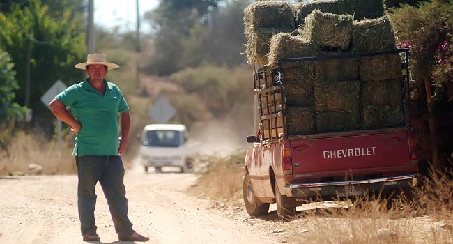 Tasa de desocupación en trimestre octubre-diciembre fue de 5,7 por ciento