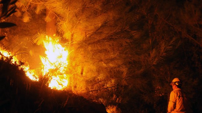 Incendio forestal mantiene bajo alerta roja a la comuna de San Antonio