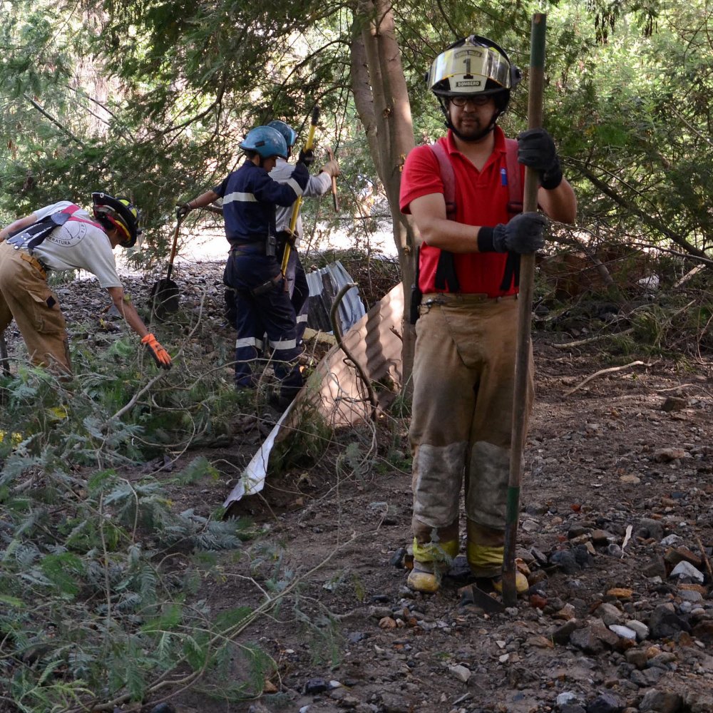 Vecinos de Pencahue acuden a la Justicia por incendios forestales