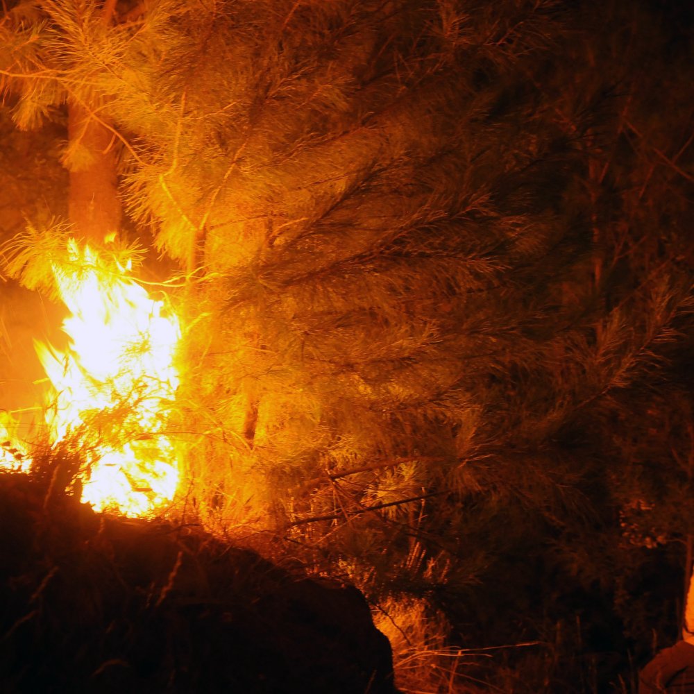 Incendio forestal mantiene bajo alerta roja a la comuna de San Antonio