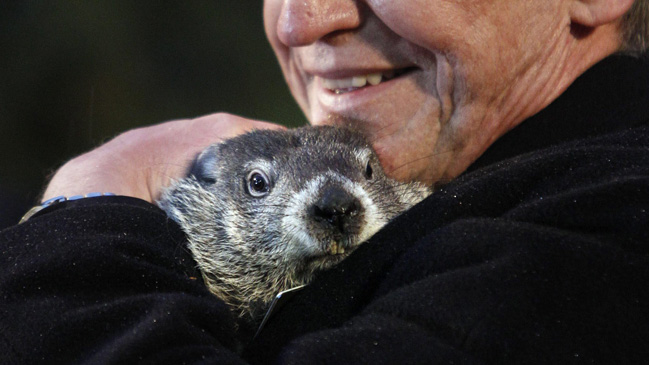La marmota Phil pronostica un invierno largo en Estados Unidos