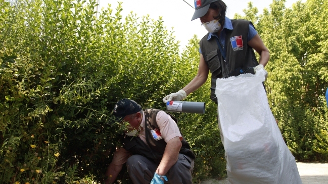 Minsal confirmó la primera muerte por virus hanta en la Región Metropolitana