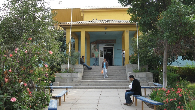 Anciana quedó grave tras sufrir ataque de sus propios perros