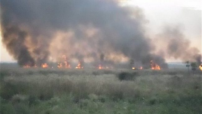 Incendio consume 1.200 hectáreas del parque Ypacaraí en Paraguay