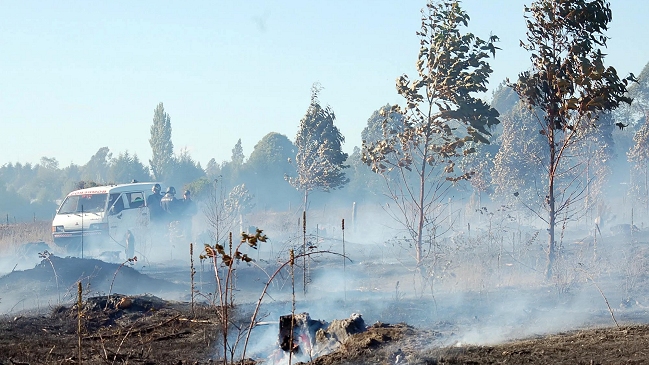Carabineros investiga quema de maquinarias y plantaciones en Vilcún