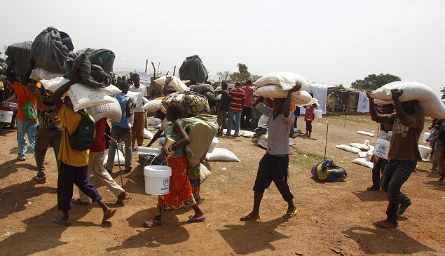 Imagen foto_00000002