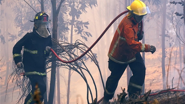 Incendio en maderera arrasó con predio en Los Ángeles