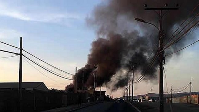 Incendio destruye locales en Terminal Agropecuario de Alto Hospicio