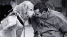 ¿Los perros entienden la voz de los humanos?