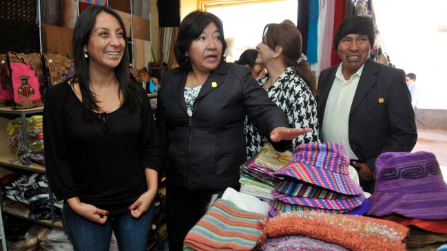 Gobierno llamó a emprendedores a postular a fondos entregados por Fosis