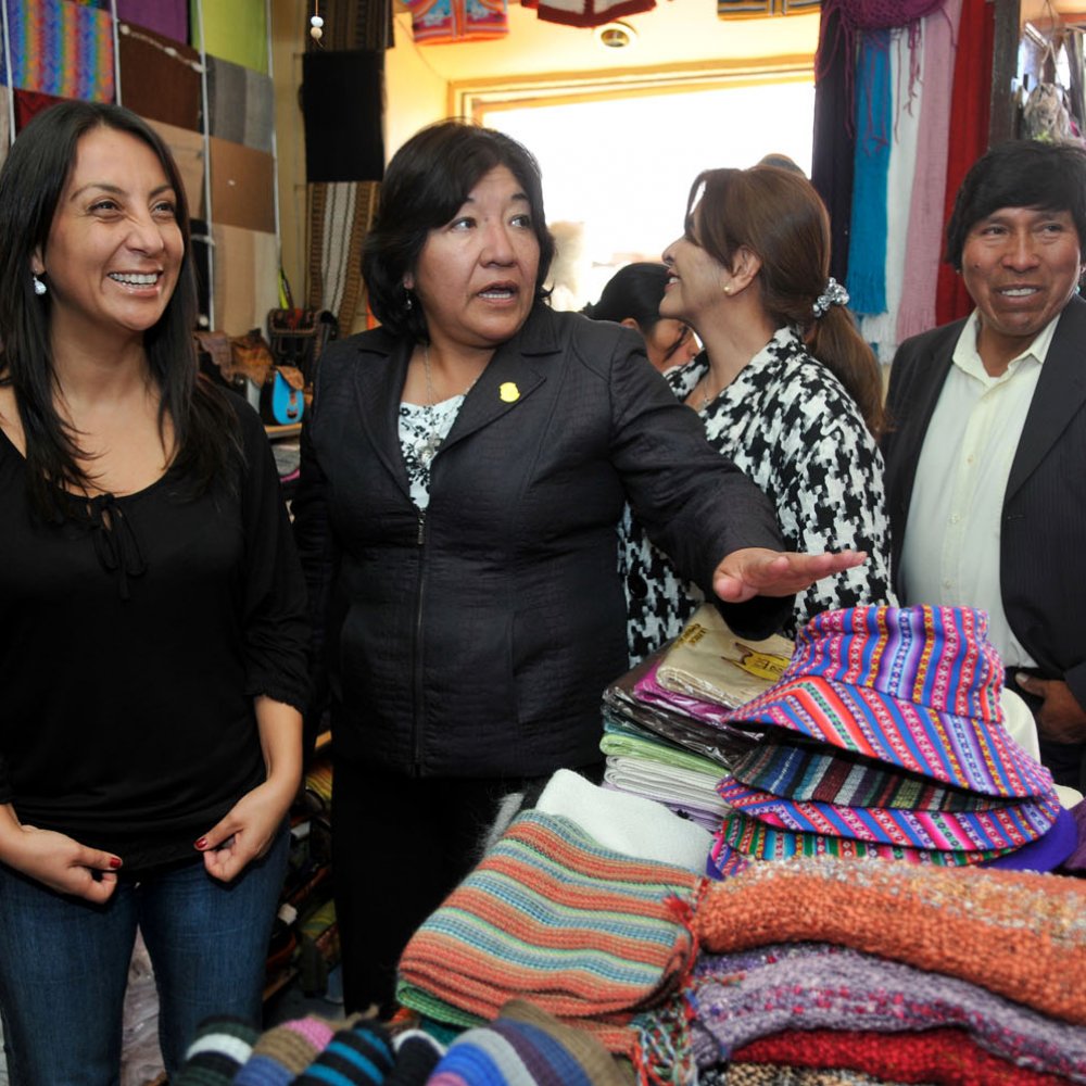 Gobierno llamó a emprendedores a postular a fondos entregados por Fosis