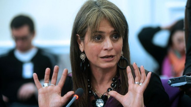 Movilh presentó recurso de protección contra políticos UDI