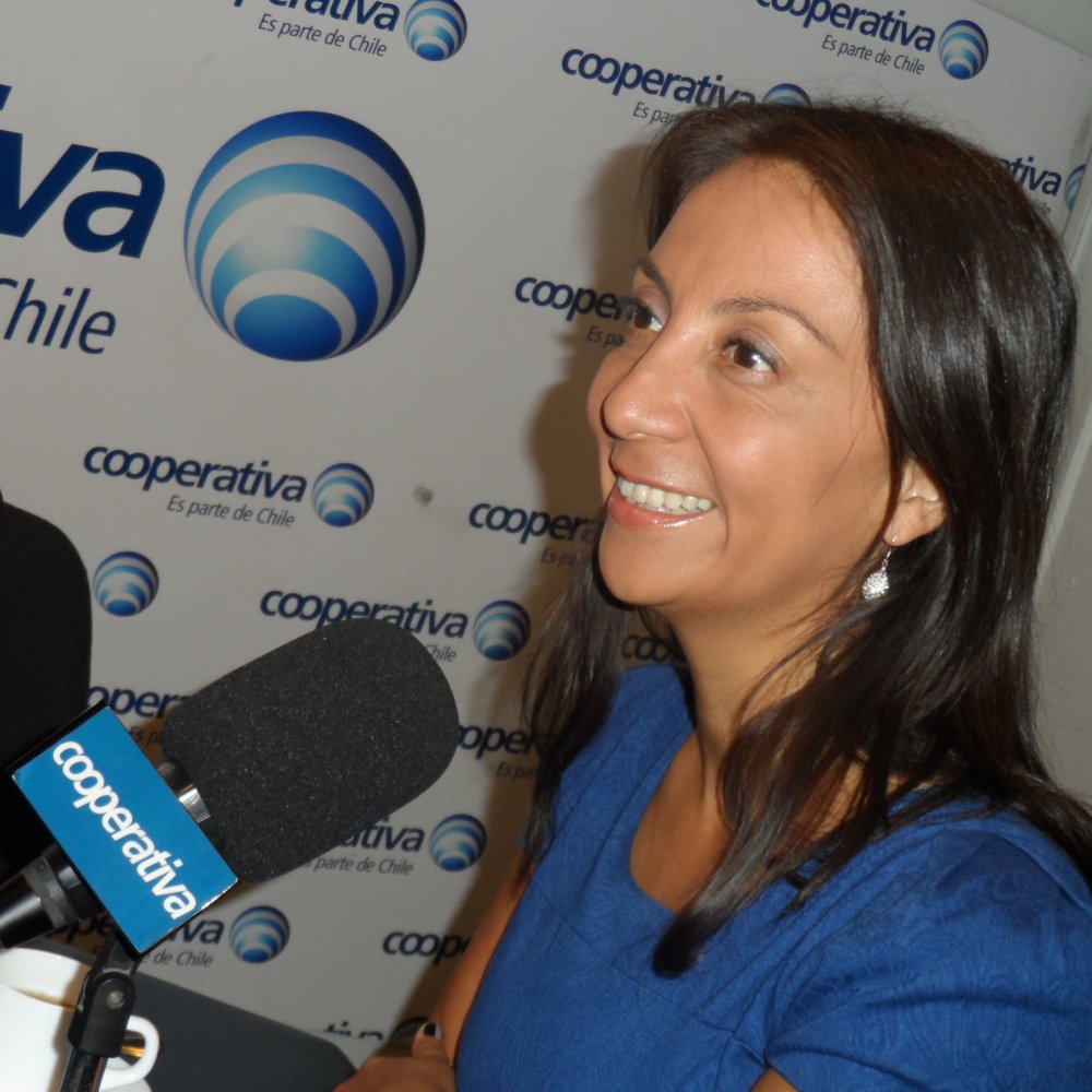 Vocera de Gobierno: El 2009 no tuvimos zancadillas propias