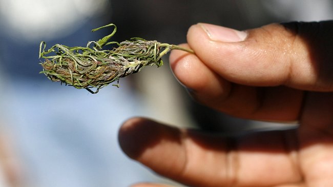 Soldado fue detenido portando 600 dosis de marihuana