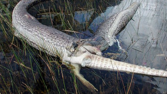 Imagen foto_00000018