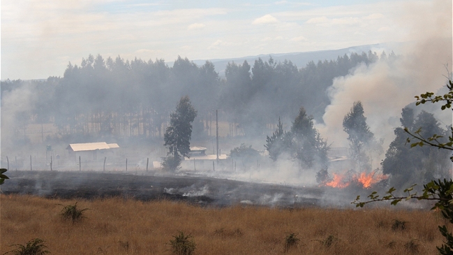 Ex religioso denunció que ataque de Carabineros generó incidentes en Tirúa