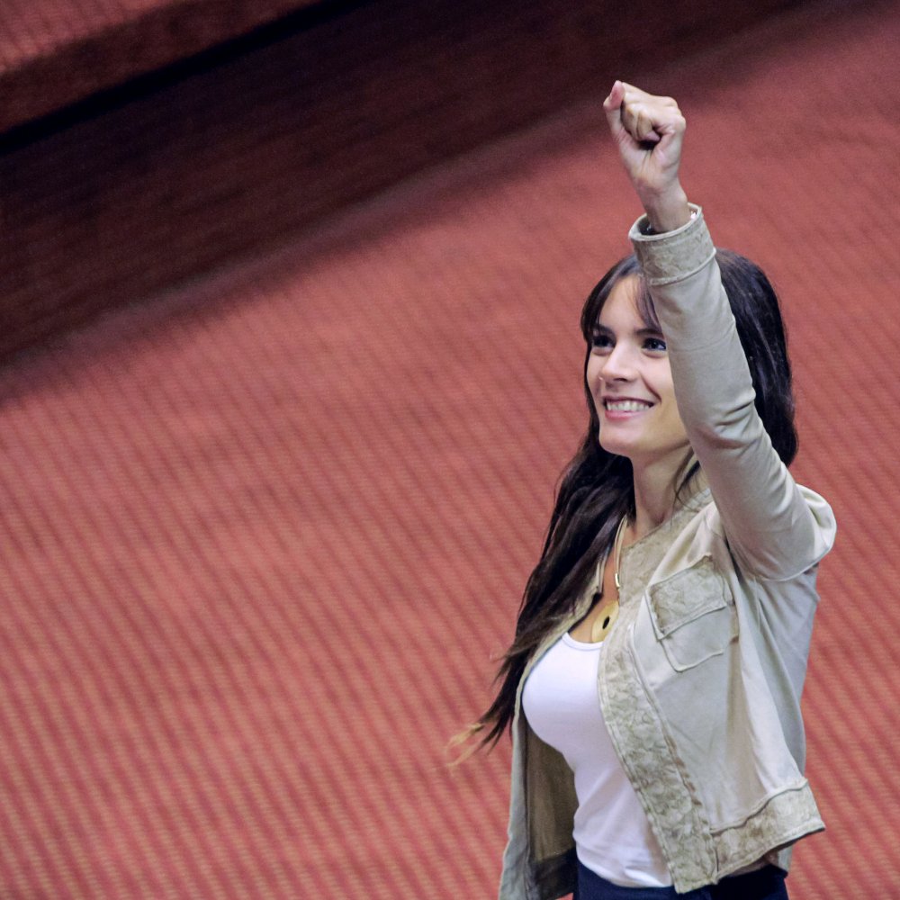 Los parlamentarios que llegan desde los movimientos sociales al Congreso